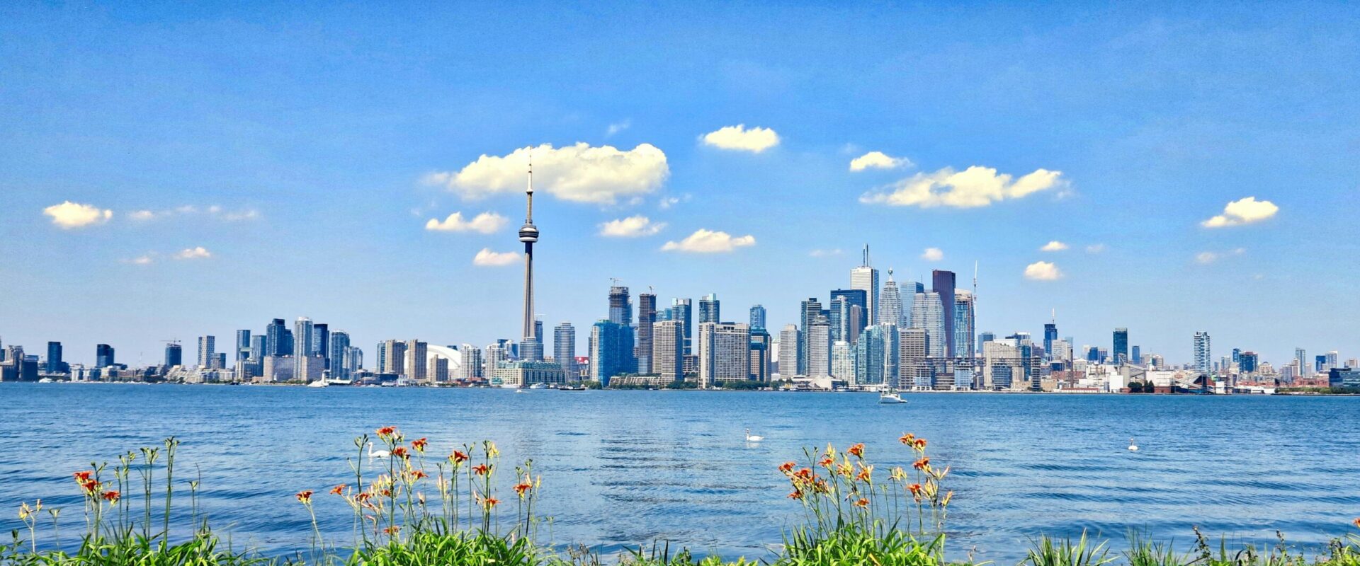 Scenic view of Toronto skyline with CN Tower against a clear blue sky, seen from across the waterfront.